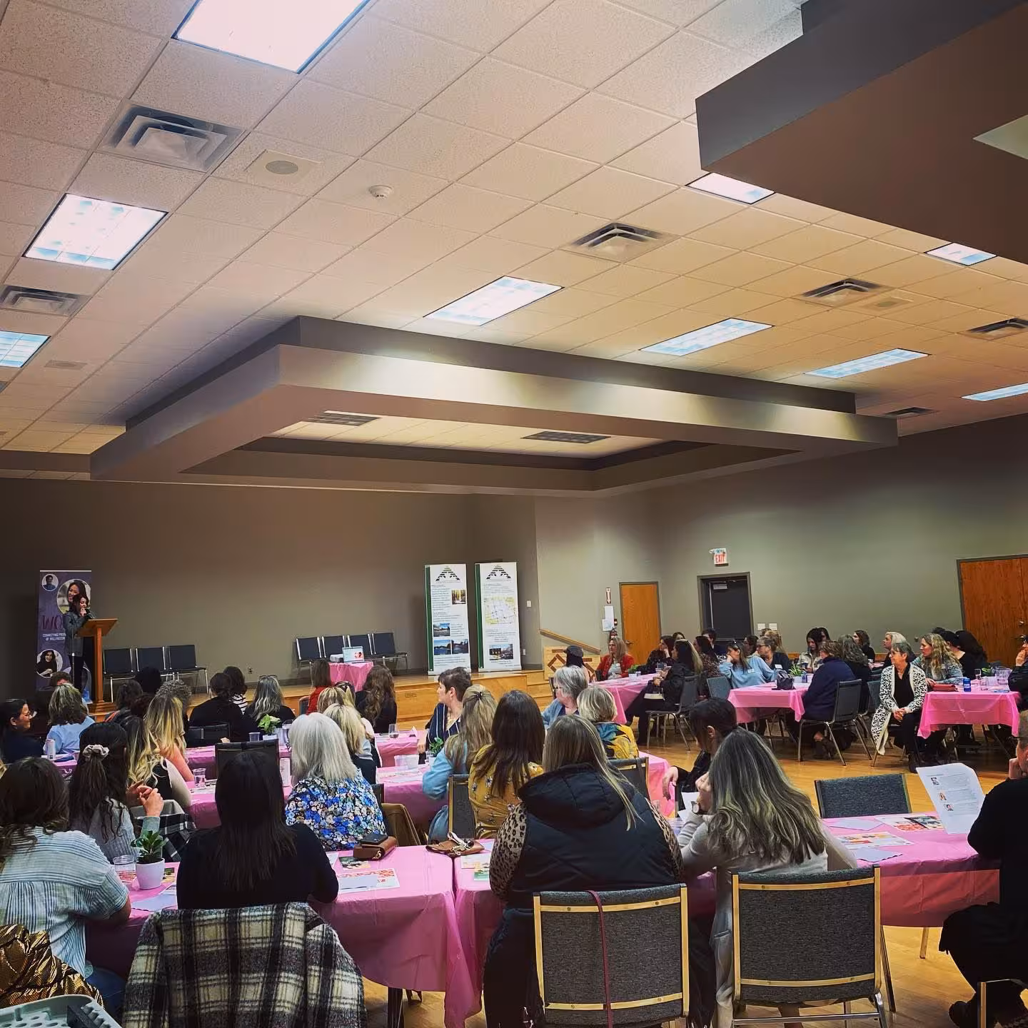 Women meeting around a table at a WOWSA event.
